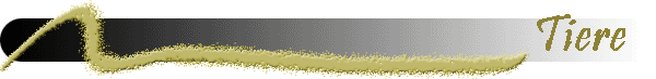 Tiere